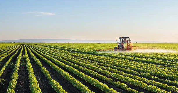 Swanari Agriculture and Livelihoods Mission